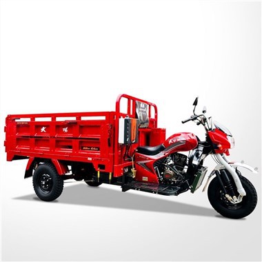 300cc triratis variklis triratis savivartis