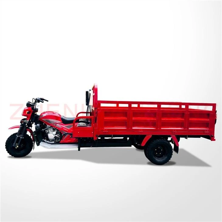 Three Wheel Motor Trike Cargo