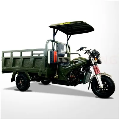 Didelio našumo 3 ratų Mototaxi motociklas