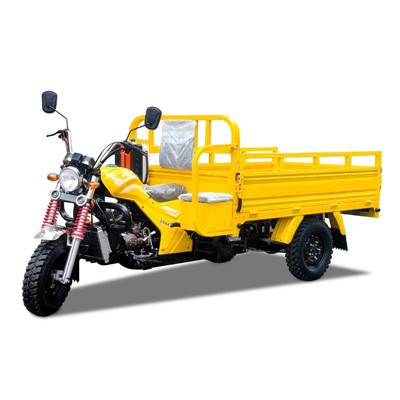 Karštas išpardavimas 200cc250cc300cc motorizuotas triratis