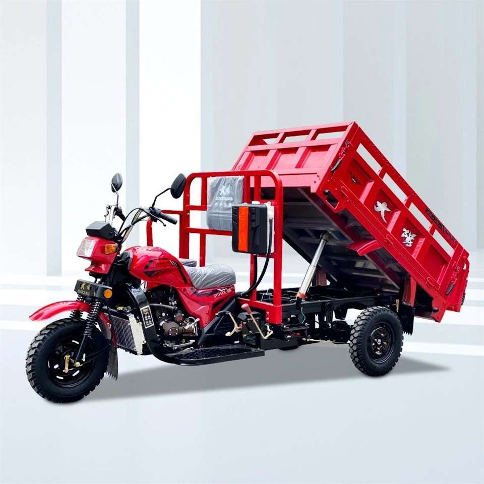 Tricycle For Cargo With 250cc Petrol Engine