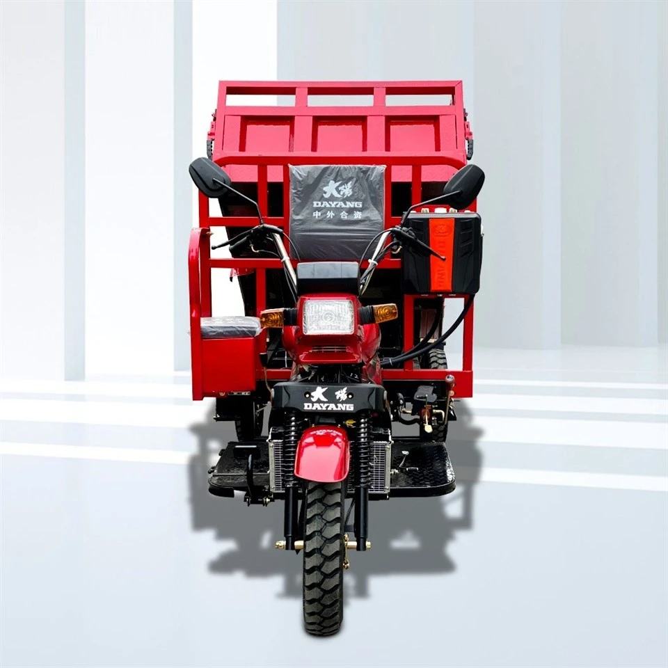 Tricycle For Cargo With 250cc Petrol Engine