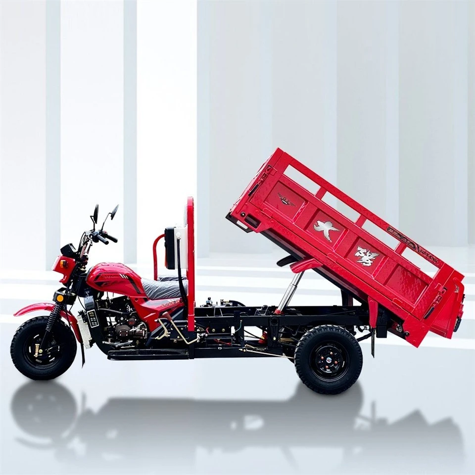 Tricycle For Cargo With 250cc Petrol Engine